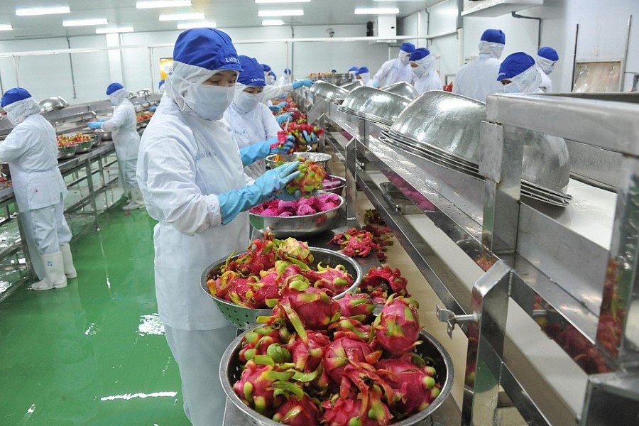 Xuất khẩu nông - thủy sản sang thị trường Trung Quốc: Tính chuyện đường dài