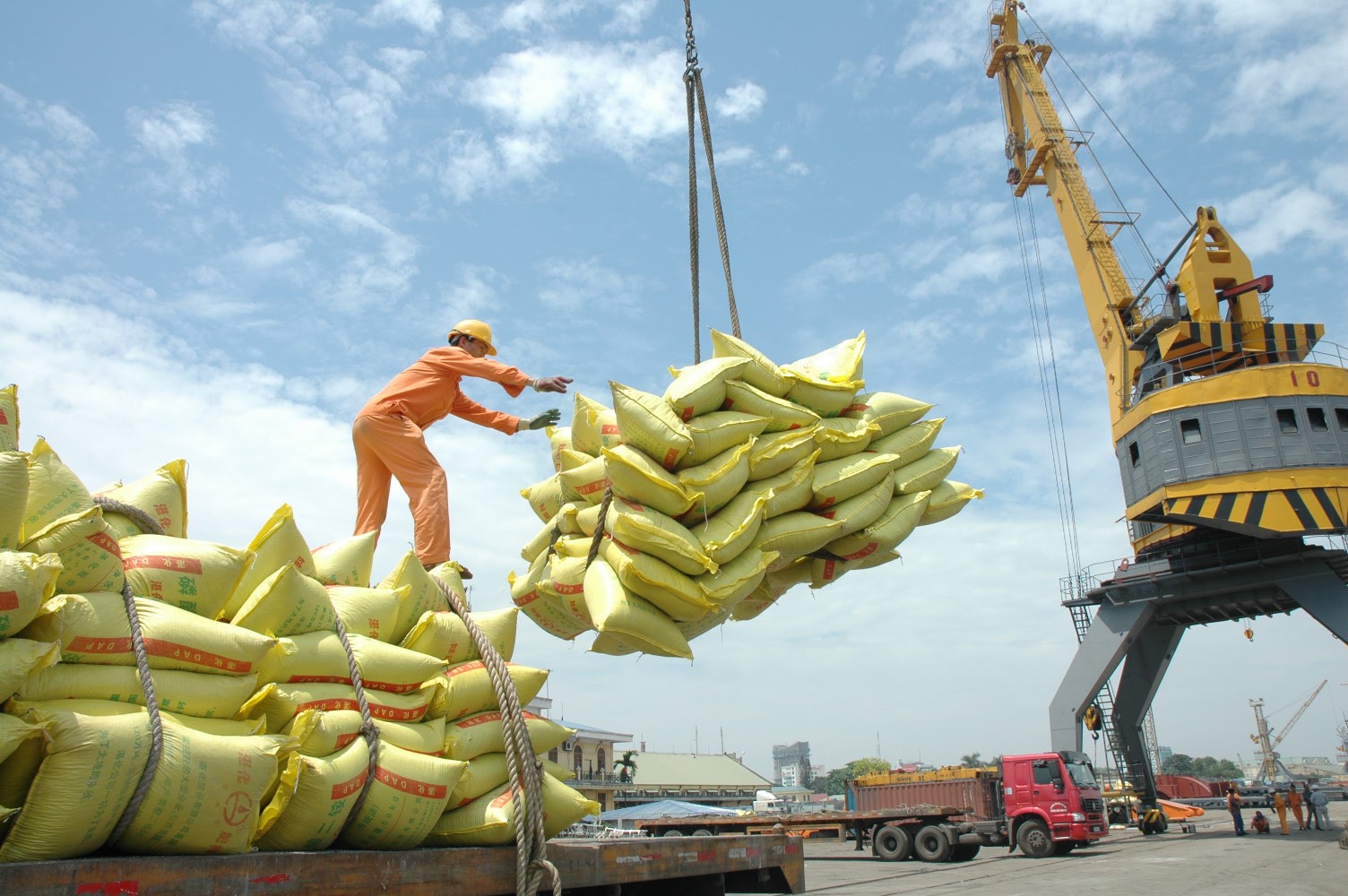 Ngày này năm xưa 21/5: Phê duyệt Đề án phát triển thương hiệu gạo Việt Nam