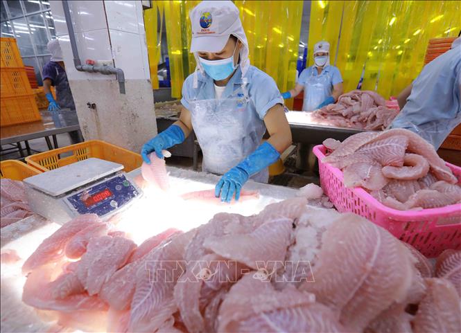 Không để xuất khẩu thủy sản tuột mốc 10 tỷ USD