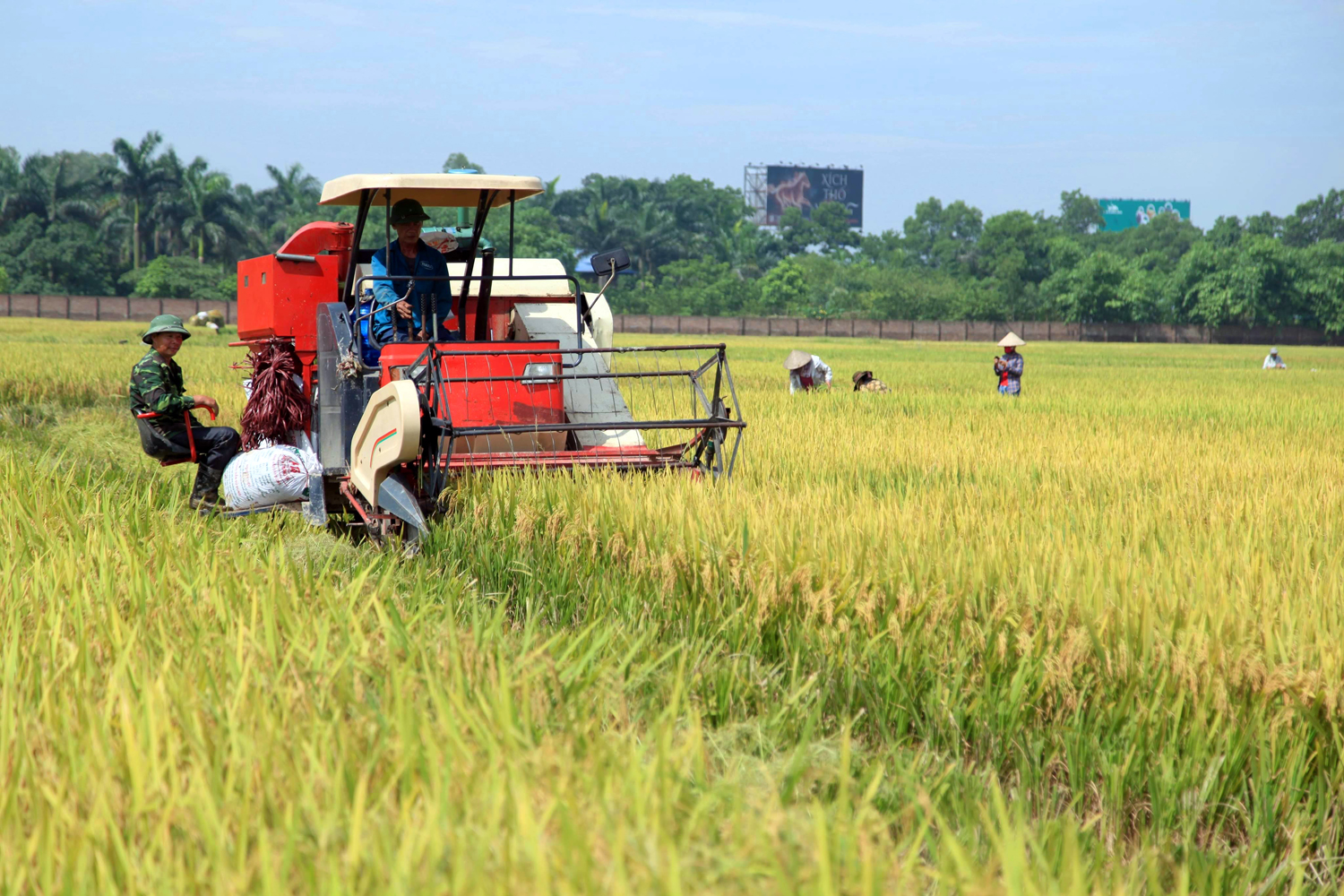 Để không gian nông nghiệp Thủ đô phát triển