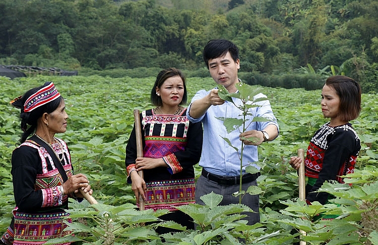 GREAT - tăng cơ hội việc làm cho phụ nữ dân tộc thiểu số