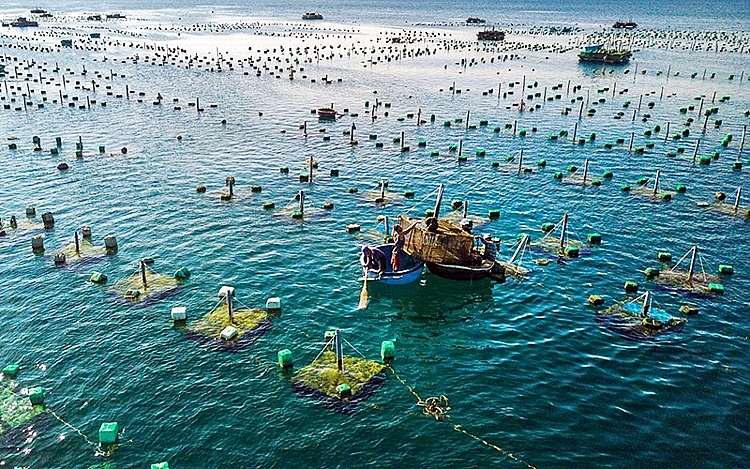 Na Uy –Việt Nam thúc đẩy hợp tác song phương ngành thủy sản
