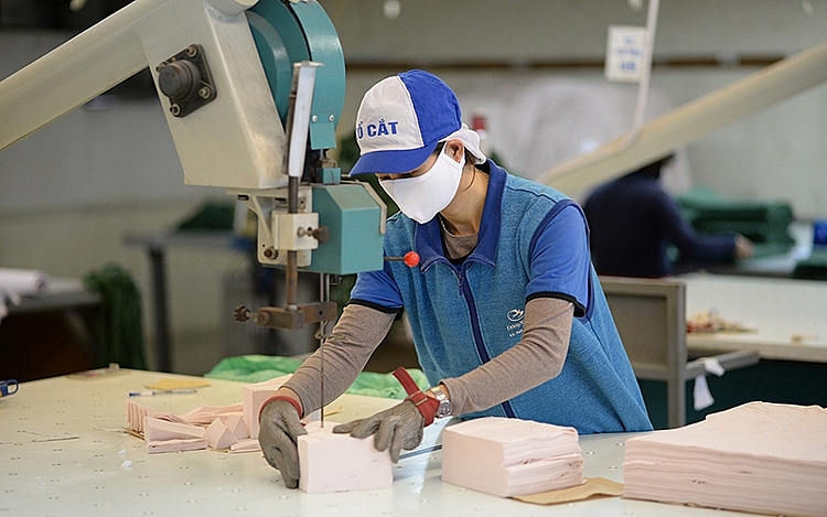 Thực thi Hiệp định RCEP: Chủ động phòng vệ, doanh nghiệp sẽ lớn mạnh Thực thi Hiệp định RCEP: Chủ động phòng vệ, doanh nghiệp sẽ lớn mạnh