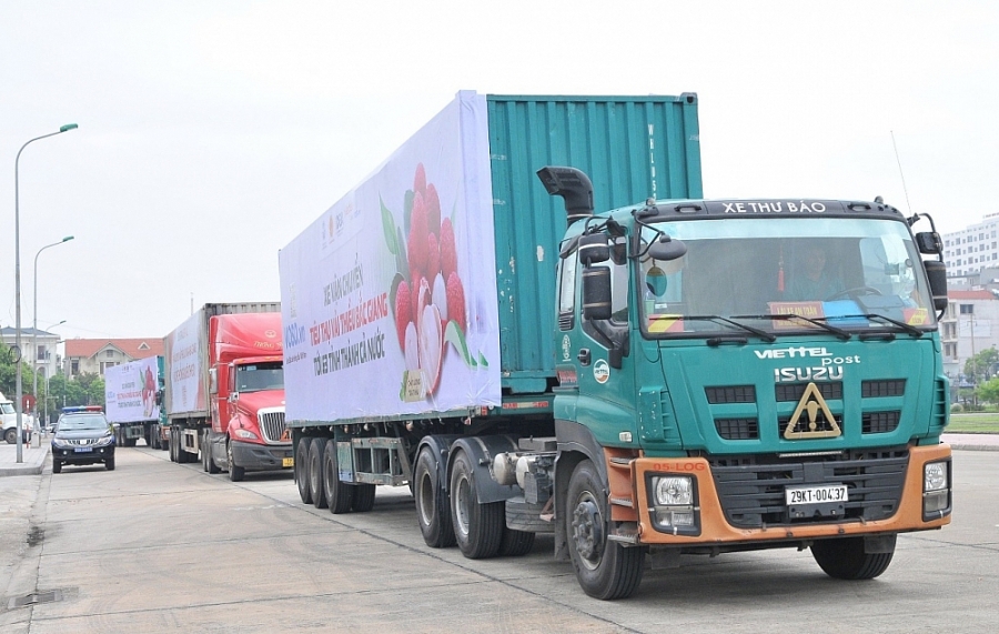 tạo điều kiện cho các sàn TMĐT và đơn vị vận chuyển phân phối hàng hóa thiết yếu tạo điều kiện cho các sàn TMĐT và đơn vị vận chuyển phân phối hàng hóa thiết yếu