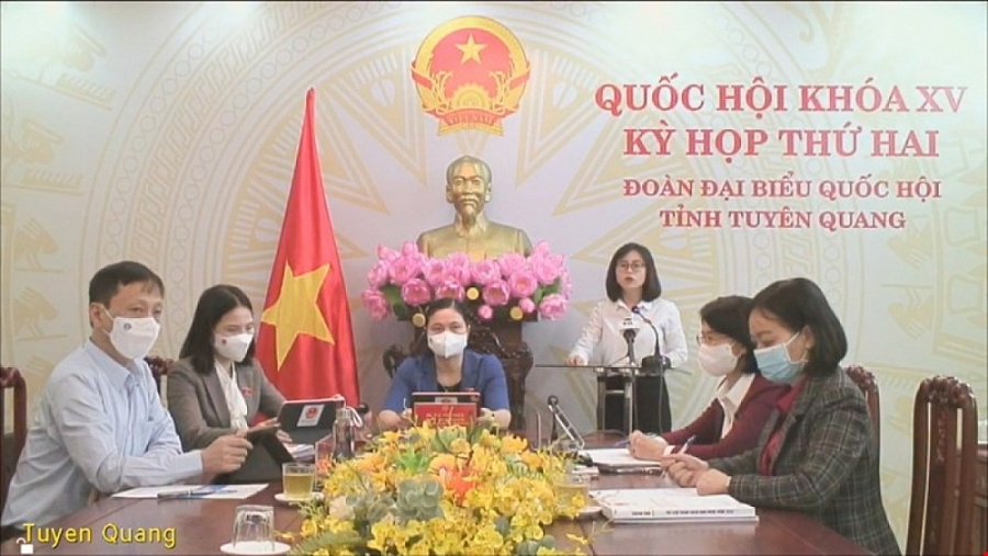đại biểu Nguyễn Thị Việt Hà (đoàn Tuyên Quang) 
