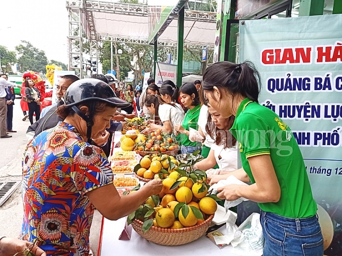 cam buoi luc ngan dam ngo ha noi