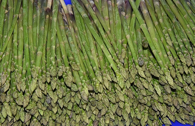 tien tien va cau chuyen danh thuc tiem nang o vung dat kho