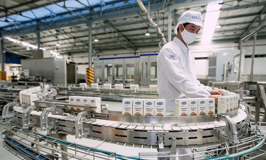 Hàng Việt chinh phục thị trường khó tính Hàng Việt chinh phục thị trường khó tính
