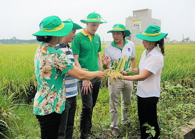 dang bo pvfcco nhiem ky 2015 2020 phat huy suc manh noi luc de thanh cong