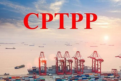 buc tranh thuong mai sau mot nam cptpp co hieu luc