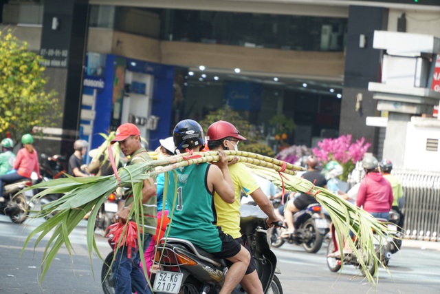 nguoi sai gon do xo mua mia cau tai dau nam