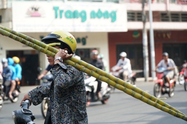 nguoi sai gon do xo mua mia cau tai dau nam