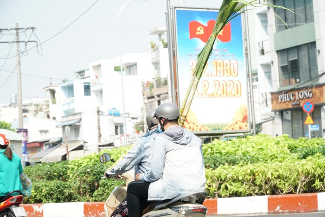 nguoi sai gon do xo mua mia cau tai dau nam