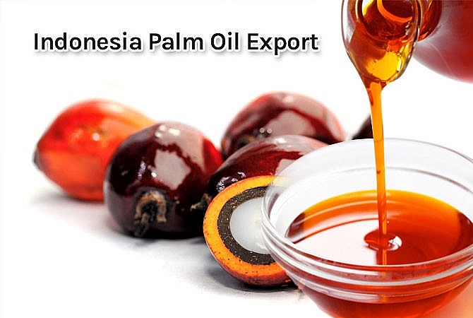 Chính phủ Indonesia tăng hạn ngạch xuất khẩu dầu cọ để giải quyết dư thừa tồn kho