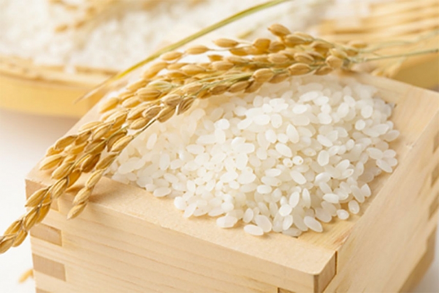 Giá lúa gạo hôm nay 17/1: Gần Tết giá lúa gạo xu hướng giảm