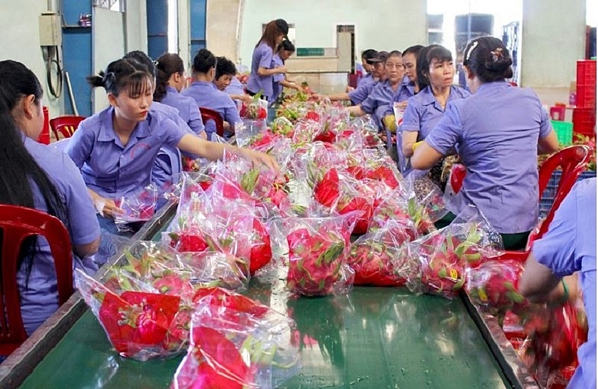 RCEP - Cơ hội để nông sản Việt hoàn thiện và nâng cao năng lực cạnh tranh