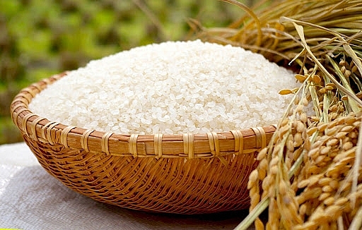 Giá lúa gạo hôm nay 14/1: Thị trường giao dịch chậm, giá lúa gạo đi ngang