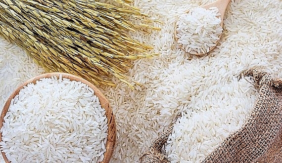 Giá lúa gạo hôm nay 22/11: Đầu tuần giá gạo bật tăng nhẹ