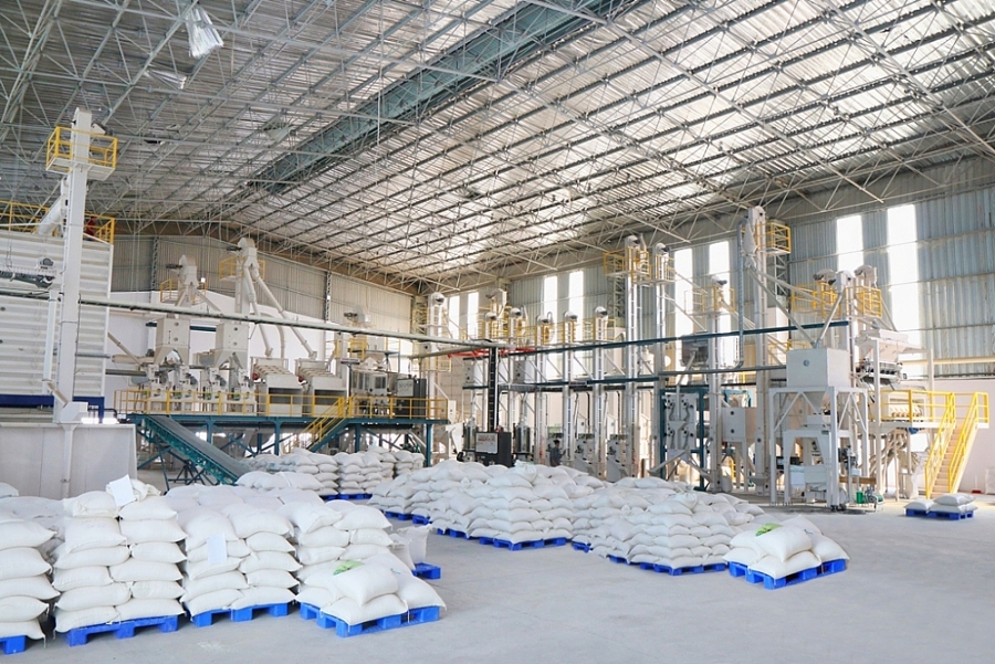 Xuất khẩu gạo sẽ nhộn nhịp hơn từ cuối tháng 3/2022
