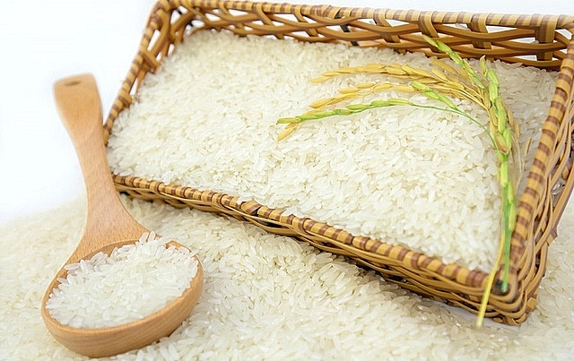 Giá lúa gạo hôm nay 6/8: Giá lúa tăng giảm trái chiều, giá gạo giảm mạnh