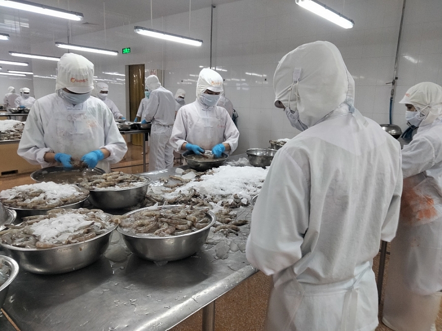 Doanh nghiệp thủy sản: Thừa đơn hàng nhưng thiếu lao động