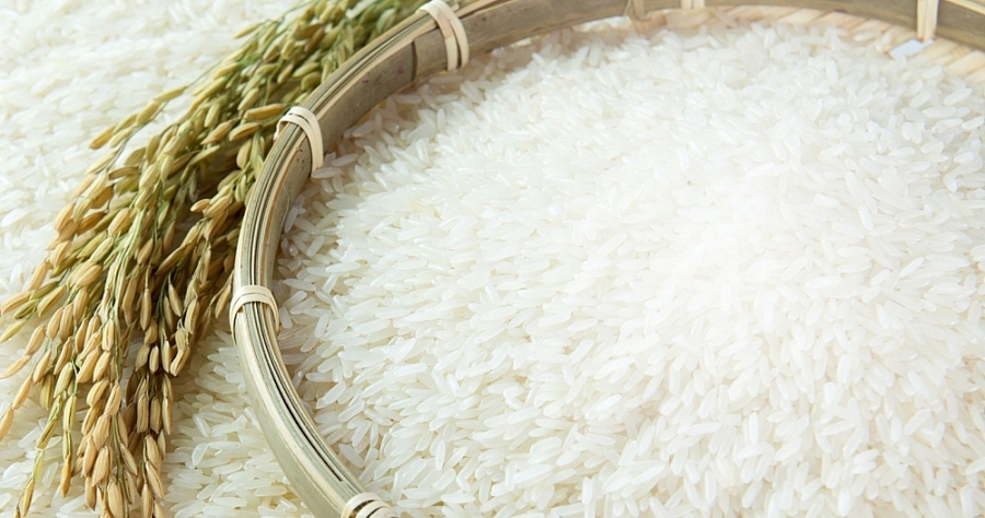 Giá lúa gạo hôm nay 23/6: Giá gạo nguyên liệu tiếp tục tăng