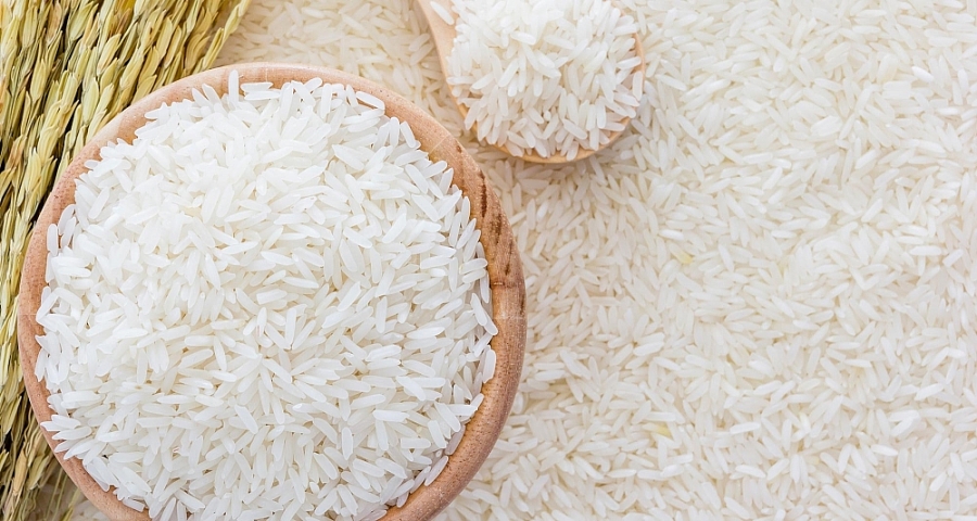 Giá lúa gạo hôm nay 14/10: Giá một số loại lúa gạo tăng 100 đồng/kg