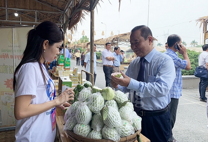 dua dac san dong thap ve tp ho chi minh