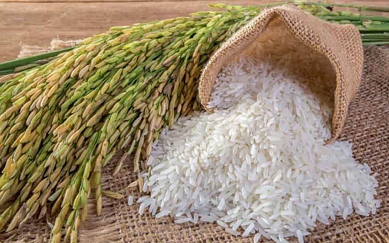 Giá lúa gạo hôm nay 26/1: Giá lúa gạo duy trì ổn định