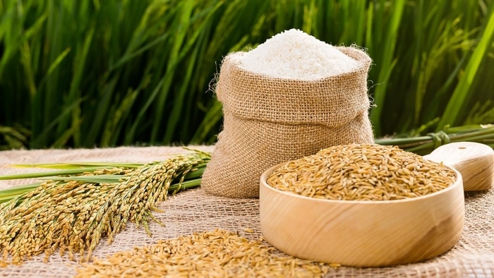 Giá lúa gạo hôm nay 17/5: Giá lúa tăng 100 đồng/kg, giá gạo giảm
