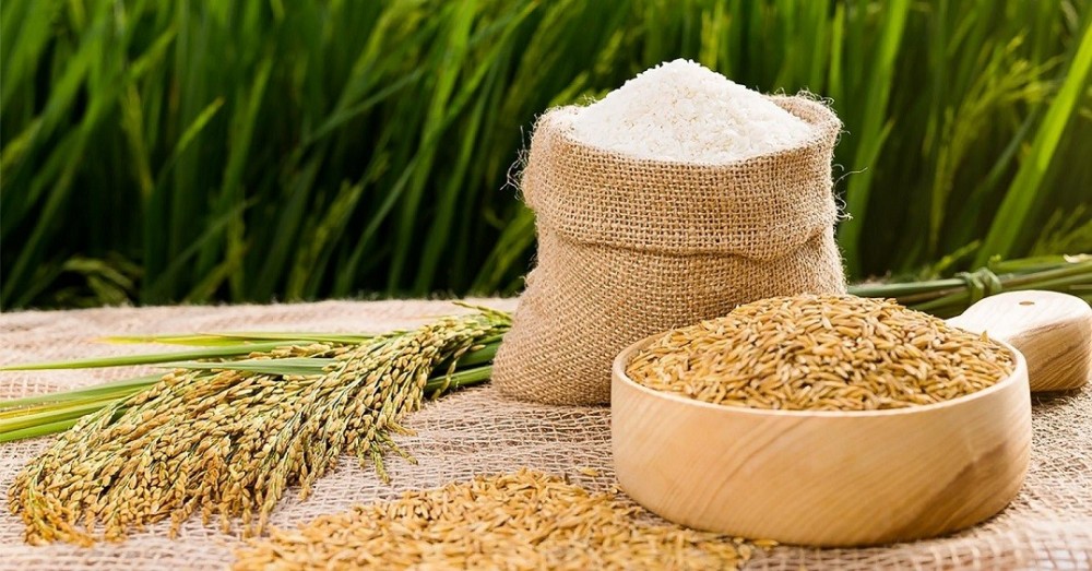 Giá lúa gạo hôm nay 27/7: Giá gạo 5% tấm giảm 5 USD/tấn