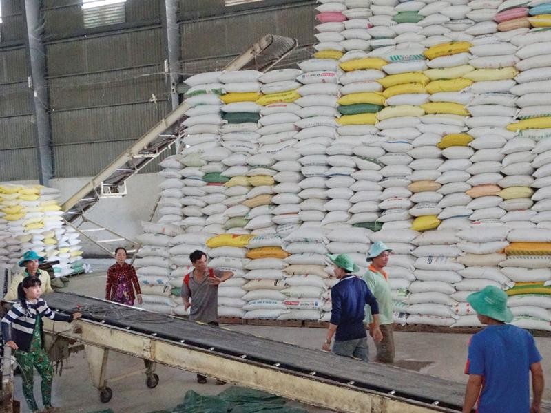 Giá lúa gạo hôm nay 14/6: Giá gạo tăng 150 đồng/kg