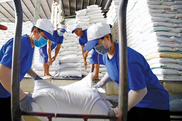 Xuất khẩu gạo nên tập trung vào các thị trường bền vững
