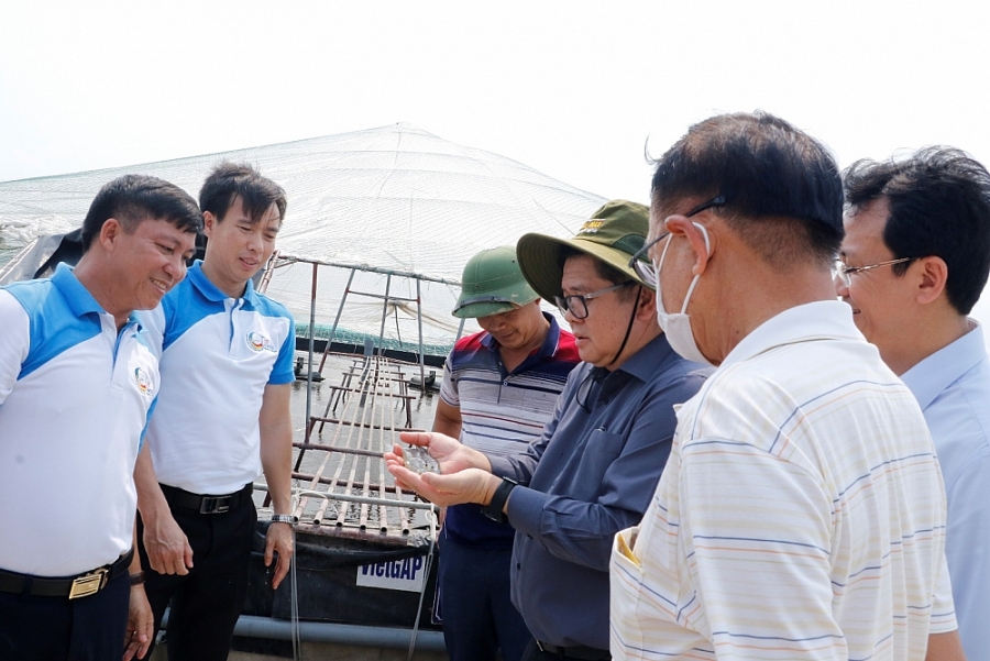 C.P. Việt Nam đẩy mạnh hợp tác phát triển ngành đánh bắt thủy sản bền vững