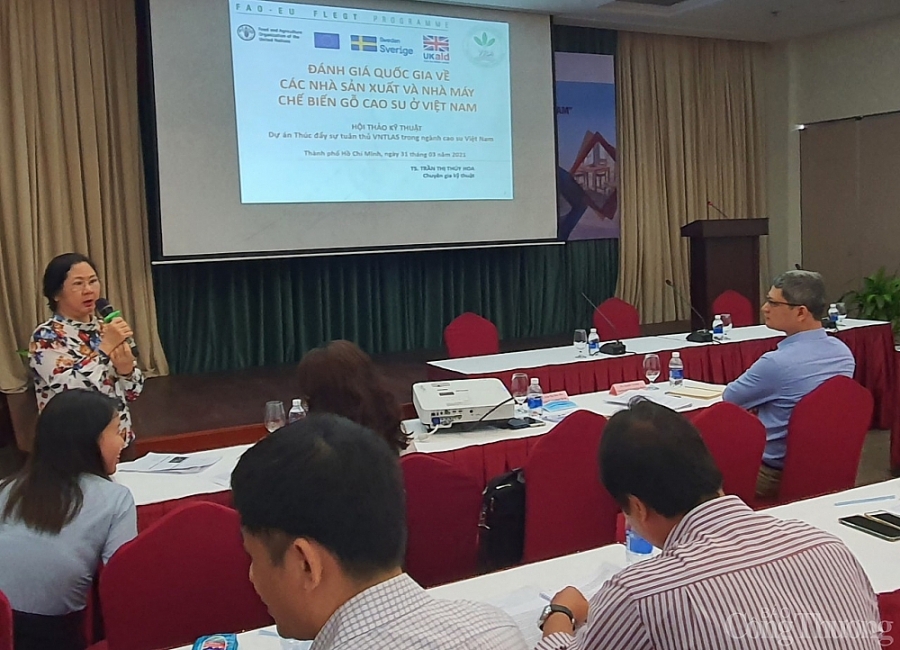 Nhận thức về gỗ hợp pháp Việt Nam trong ngành cao su còn hạn chế