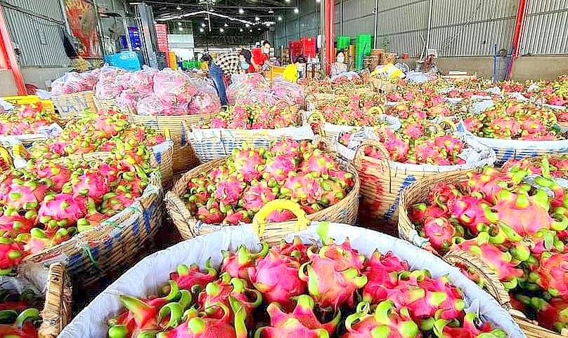 Kim ngạch xuất khẩu hàng hóa của Tiền Giang tăng gần 29%
