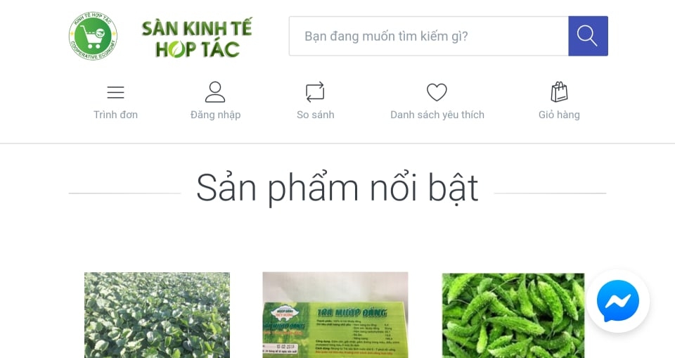 thua thien hue dua vao hoat dong san thuong mai kinh te hop tac