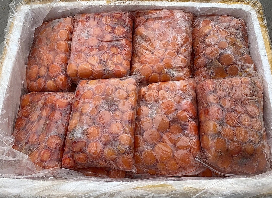 QLTT Nghệ An: Tiêu hủy hơn 14 tấn sản phẩm động vật không rõ nguồn gốc