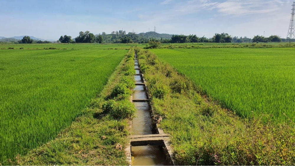 Thanh tra tỉnh Quảng Ngãi công bố các dự án nông nghiệp vi phạm xây dựng