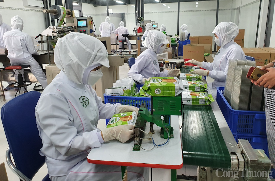 Miền Trung - Tây Nguyên tận dụng lợi thế các FTA đẩy mạnh xuất khẩu Miền Trung Tây Nguyên tận dụng lợi thế các FTA đẩy mạnh xuất khẩu