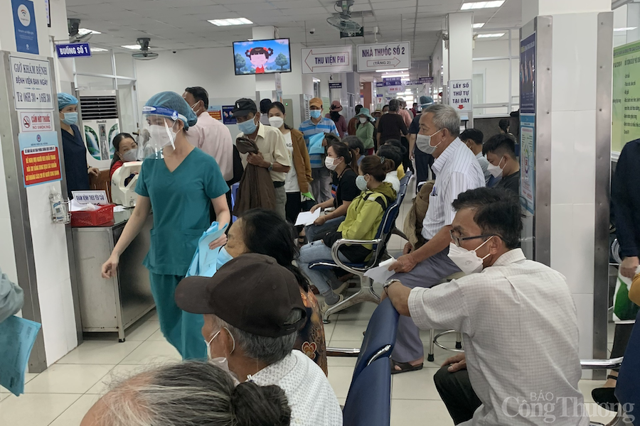 Đà Nẵng: Đảm bảo cung ứng thuốc, kiểm soát giá thuốc điều trị cúm mùa