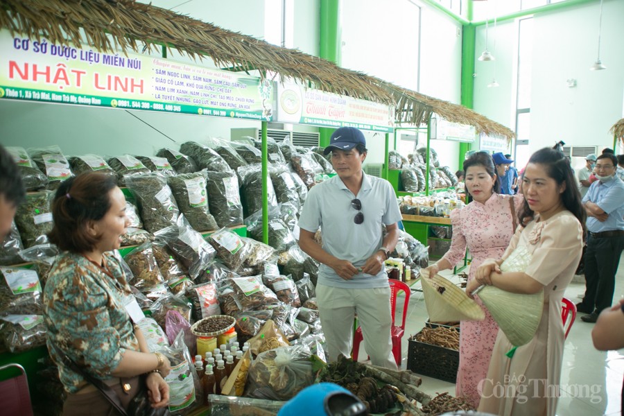 Độc đáo Hội thi Sâm Ngọc Linh tại Quảng Nam Độc đáo Hội thi Sâm Ngọc Linh tại Quảng Nam