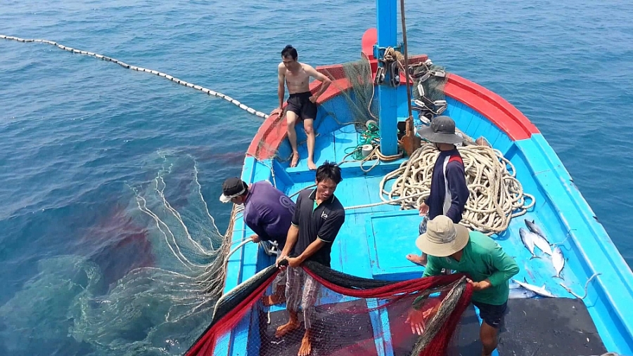 Khai thác cá minh bạch, hợp pháp - một trong những điều kiện để EU gỡ thẻ vàng IUU Khai thác cá minh bạch, hợp pháp - một trong những điều kiện để EU gỡ thẻ vàng IUU