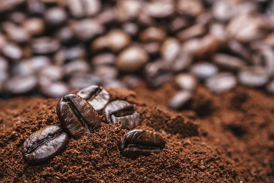 xuất khẩu cà phê chế biến năm 2021 đạt 569,46 triệu USD, tăng 2,9% so với năm 2020