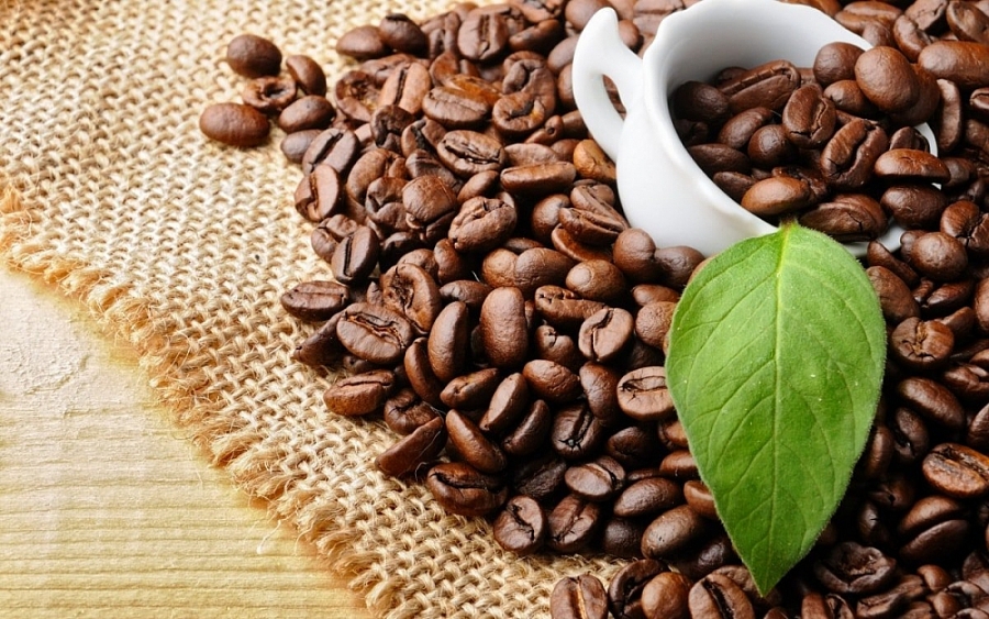 Xuất khẩu cà phê Robusta tăng trưởng 2 con số
