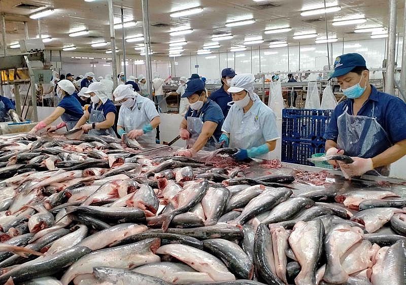 7 tháng năm 2022, xuất khẩu cá tra sang thị trường CPTPP tăng 73%