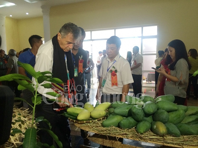 son la lan dau tien san pham xoai yen chau xuat khau sang my anh