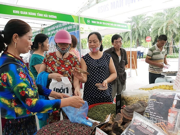 khai mac tuan hang trai cay nong san cac tinh thanh pho tai ha noi lan 2 nam 2020
