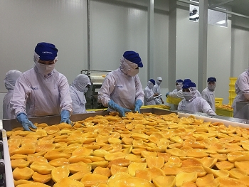 Australia tăng nhập khẩu rau quả chế biến từ Việt Nam