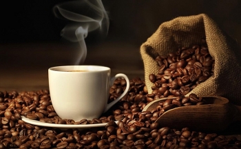 Giá cà phê hôm nay 2/2: Đồng loạt tăng mạnh, áp sát mốc 32 triệu đồng/tấn